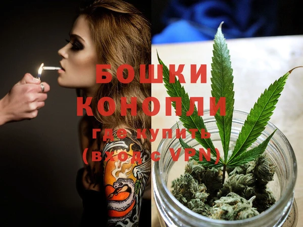 сатива Богданович