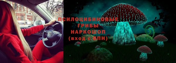 2c-b Богородицк