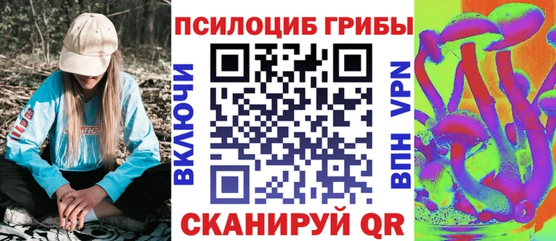 дарнет шоп  Бирюсинск  Псилоцибиновые грибы GOLDEN TEACHER 